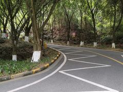 -大雁山风景区