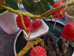 -故里和山·成都火锅(欢乐港湾店)