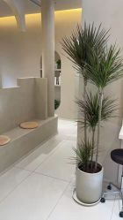 点击看大图 -Garden花園造型