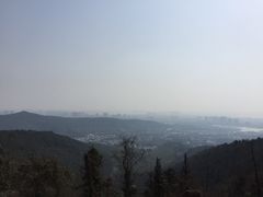 -旺山景区