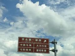-御道口草原森林风景区