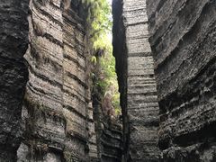 -梭布垭石林景区