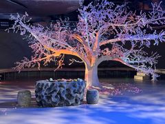 -江宁织造博物馆