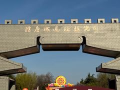 -洛阳市隋唐城遗址植物园