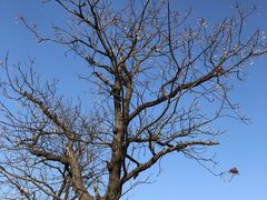 -南京市江宁方山