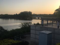 -大兴滨河森林公园