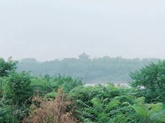 -永定河休闲森林公园