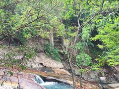 -广州白江湖森林公园