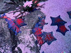 -沈阳海洋探索中心