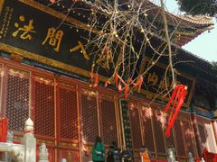 -宝通禅寺