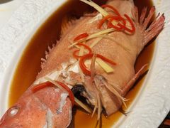 -雍容荟活帝王蟹活龙虾自助(苏宁旗舰店)