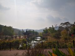-石塘人家