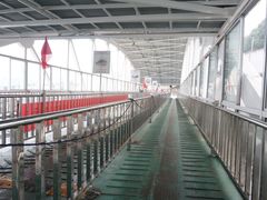 -武汉关码头(轮渡站)