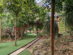 -呀路古热带植物园