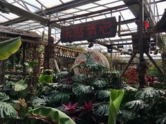 -呀路古热带植物园