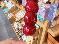 -长春堂顺时而饮(前门店)