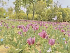 -郑州中国绿化博览园