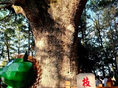 -安溪清水岩