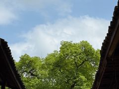 -尧坝古镇
