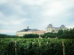 -北京张裕爱斐堡酒庄