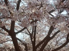 -复旦大学光华楼