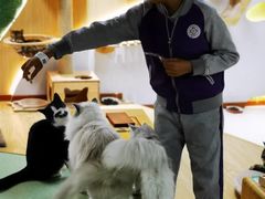 -猫和宫(六道口店)