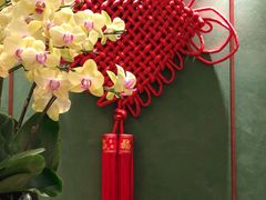 -蝶园·装修中(BFC外滩金融中心店)