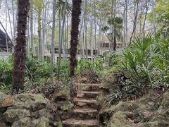 -求雨山文化公园