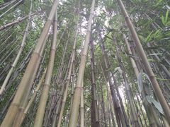 -咸宁万豪温泉谷度假区