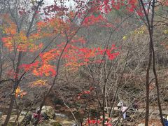 -本溪老边沟风景区