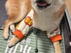 -美联众合24小时·皮肤科·外科·全科诊疗中心(华苑分院)