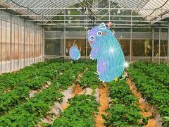 -前小桔亲子创意农场·草莓采摘·露营烧烤