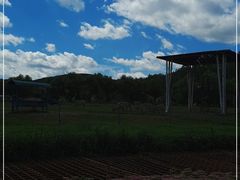 -哈尔滨北方森林动物园
