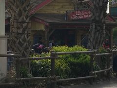 -迪士尼火鸡腿