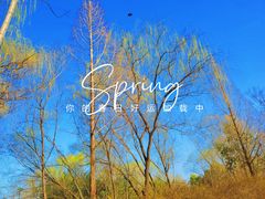 -郑州植物园
