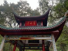 -MAMACHA妈妈茶(岳麓山店)