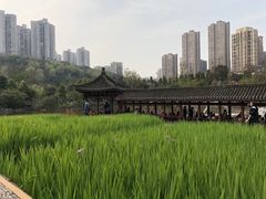 -龙头寺公园