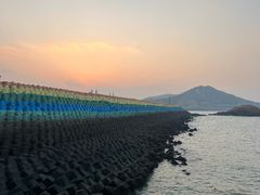 -魚當家