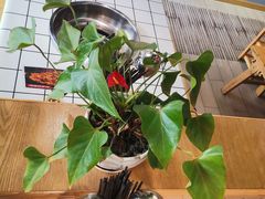-蛙一刀·麻椒鱼火锅(金仙桥店)