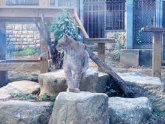 -上方山森林动物世界