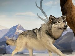 -陕西自然博物馆