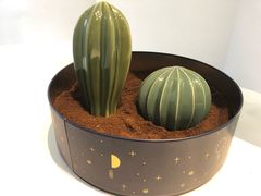-CAFE'IN精品咖啡体验空间(小寨店)