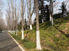 -宜兴龙背山森林公园