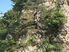 -大连冰峪旅游度假区