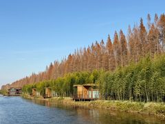 -黄海国家森林公园