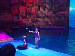 -芜湖新华联大白鲸海洋公园