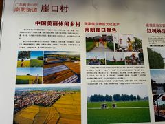 -崖口红树林海鲜餐厅