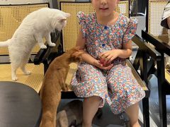 -琪喵猫屋·撸猫猫咖·猫舍