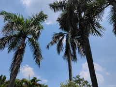 -东风公园