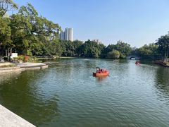 -荔湾湖公园